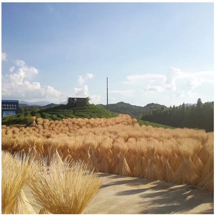 timg (1).jpg timg (1).jpg